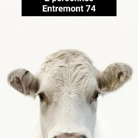 Πανσιόν Le Mazot D'h Entremont