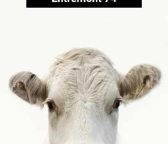 Gæstehus Le Mazot D'h Entremont